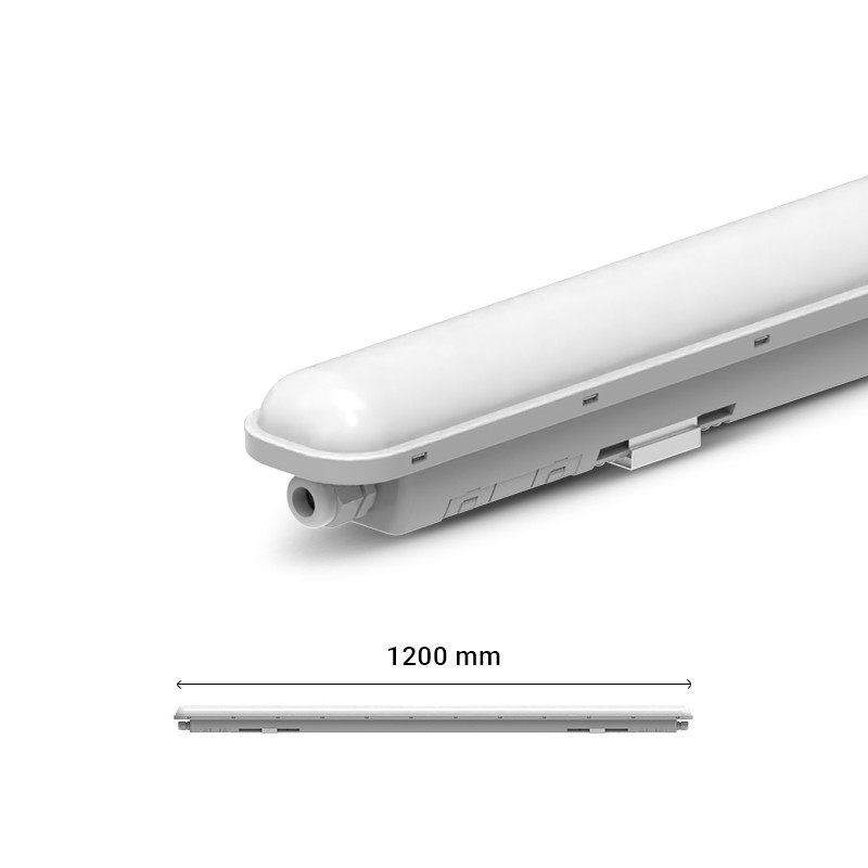 images/products/3874/32401