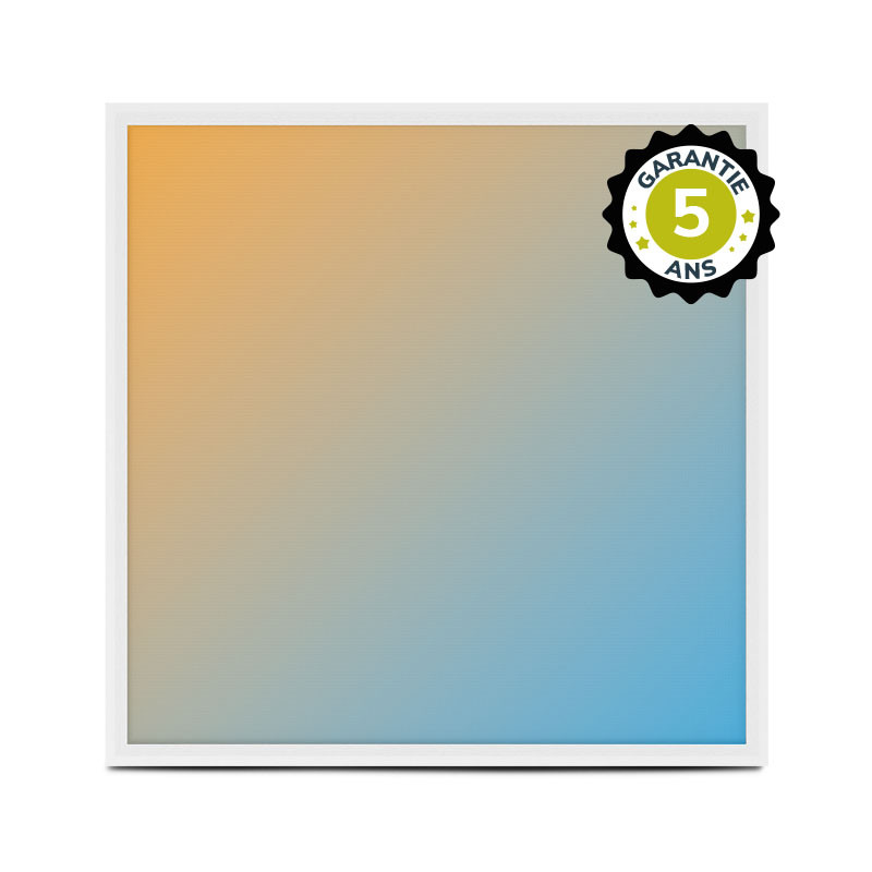 Dalle LED Backlit 595x595 25W Blanc CCT Prismatique - Garantie 5 ans