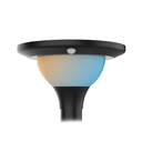 Tête de lampadaire solaire 15W 3CCT(3000K - 4000K - 6000K) IP65 + Détecteur IR